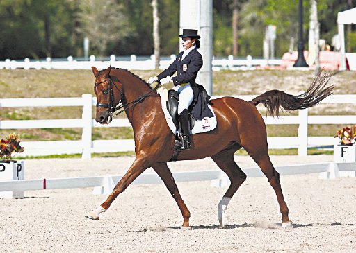 Jinete tica será adiestrada por Medallista Olímpica. Gloriana Herrera y su caballo, se entrenan todos los días de 9 a 11 a.m el el Club Hipico La Caraña en Río Oro de Santa Ana. Cortesía.