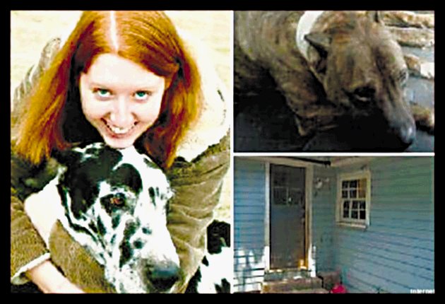  Perros matan a jovencita que los salvaba y cuidaba. Rebecca, de 23 años, fue atacada por uno los perros que salvó.