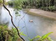  Taxista aparece sin vida. El cadáver del taxista informal apareció en una poza del río Corredores, zona sur del país. Freddy Parrales.