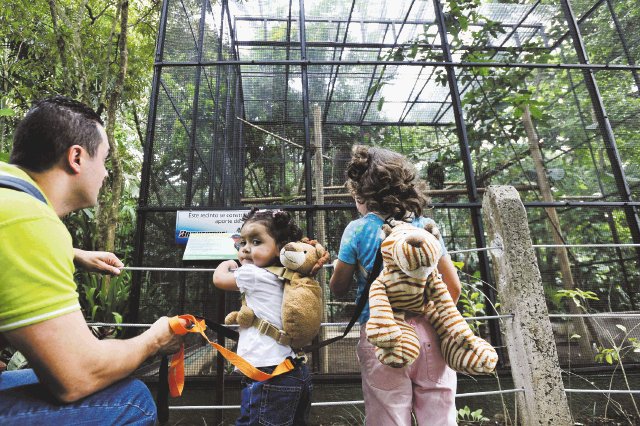  Zoológico celebra 96 aniversario. Familias visitaron ayer el zoológico. Camille Zurcher. 