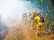  Incendio consume 150 hectáreas. Tienen que trabajar con espeso humo. Cortesía Bomberos.