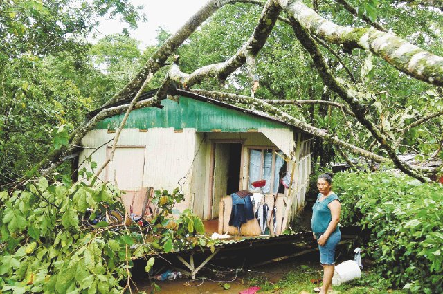  Pánico por dos tornados. Un árbol cayó en la casa de Santos García, San Carlosc. Hernández.