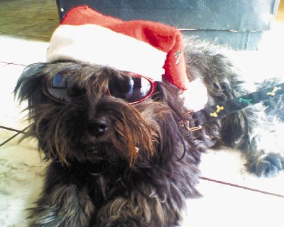 Vean el &#x201C;look&#x201D; de Pechi para las fiestas navide&#x00F1;as. Foto enviada por Kevin Coto.