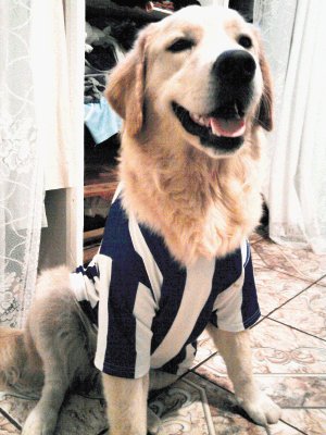 Fiel al equipo Cartagin&#x00E9;s Maya no se quita su uniforme. Foto de Steven Sol&#x00ED;s.