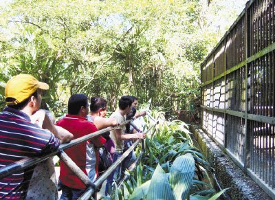 En estos d&#x00ED;as se ha incrementado la visita en zool&#x00F3;gico Sim&#x00F3;n Bol&#x00ED;var. Los visitantes pueden llevar sus alimentos y observar a los animales. Cortes&#x00ED;a.