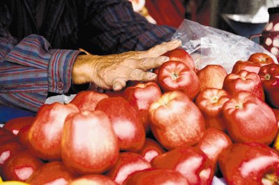 Las manzanas no pueden faltar para este d&#x00ED;a. M. Bertozzi.