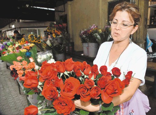  Rosas no pasan de moda. Las rosas rojas siempre gustarán a mamá.Manuel VegA.