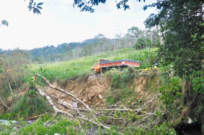 &#x00C1;rboles tambi&#x00E9;n han sufrido por la fuerza del r&#x00ED;o.