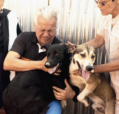 Herrera, al recuperar a sus mascotas Lester y Suki. C. L&#x00E1;scarez.