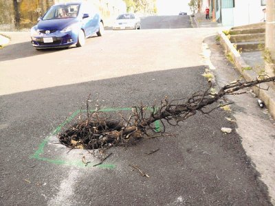 Carros han sido afectados por el hueco. M. Gamboa.