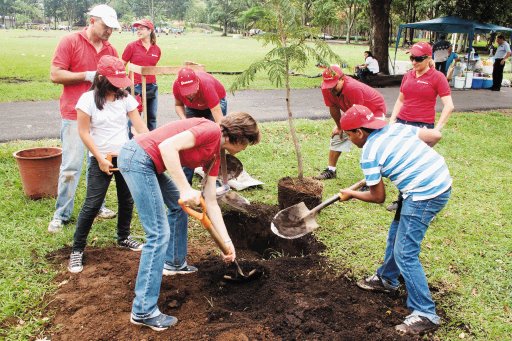  150 árboles nuevos en La Sabana. Los voluntarios iniciaron las labores de siembra desde las 8 a.m. Fabián Hernández.