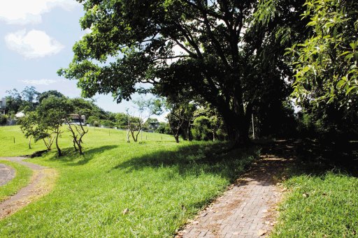 Violan y matan a una adolescente en Escaz&#x00FA; La atacaron en parque mal iluminado