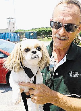  Regresa a su dueño original tras siete años. Con Bud Norman, del refugio de animales. ohmidog.com