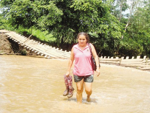  Menos lluvias esta semana. El puente de hamaca de Lepanto cayó al río. Julio Peña.