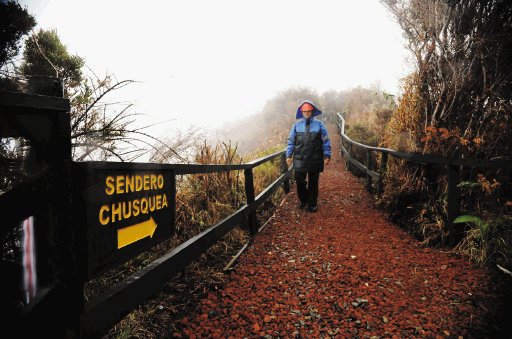  Reabierto parque volcán Turrialba. Los turistas solo permanecerán una hora en los senderos cercanos al cráter. Ayer hubo visitantes en el sitio. Eyleen Vargas.