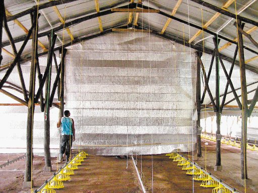 Premio por cortinas térmicas. Son innovadores.