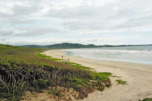  Ataque de tiburón deja a niño grave. A como pudo salió de la playa , tras el inusual ataque. Archivo