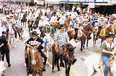 El tope en Alajuela culmina con exposici&#x00F3;n gandera.