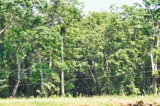 Los militares colocaron en isla Portillos parrillas de alambres muy peligrosas como &#x00E9;sta. Jos&#x00E9; Rivera.