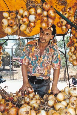  Cebolleros piden ayuda. Mañana en las ferias seguirá el buen precio. Archivo.