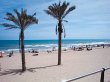  Se toparon a ladrones en una playa espa&#x00F1;ola. Vacacionaban en una playa de Guardamar del Segura, cuando vieron a los ladrones. eltiempo.es.