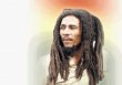  Una semilla f&#x00E9;rtil. Bob Marley. Cortes&#x00ED;a.