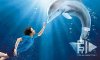 Cartelera de cine. Winter el delf&#x00ED;n. Es un peque&#x00F1;o delfin que pierde su aleta caudal en una trampa para cangrejos y Sawyer un ni&#x00F1;o de 11 a&#x00F1;os conoce al delfin que fue rescatado en el Acuario Clearwater Marine.