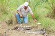  Temor por jaguares cerca de escuela. El finquero V&#x00ED;ctor Arce muestra los restos de un torete Brahman al que los jaguares devoraron. Los vecinos de esta regi&#x00F3;n fronteriza dicen estar asustados. Carlos Hern&#x00E1;ndez.