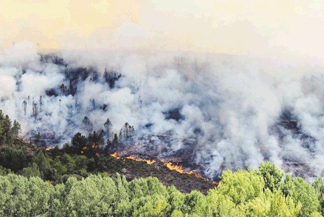 Incendios alertan en España. Fuego en Galicia.AFP.