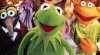 Cartelera de cine. Los Muppets. Durante sus vacaciones en Los Ángeles, Walter, el fan número uno de los Muppets, y sus amigos Gary y Mary de Smalltown, Estados Unidos, descubren que el petrolero Tex Richman planea arrasar con el Teatro de los Muppets.
