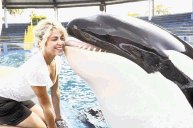  Lolita y Shakira. Shakira recibió un enorme beso de la bella ballena.