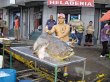  El gigante de los mares deja viva su memoria. En el 2010, “Rambo” sacó de las aguas un pez de 180 kilos y así se ganó un lugar en la memoria de la comunidad. Compartió la carne con su familia y sus amigos. Cortesía.