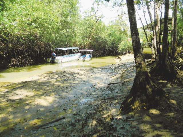 Niños murieron ahogados por viajar sin chalecos salvavidas Tragedia la mañana de ayer en bocana del río Damas, en Aguirre