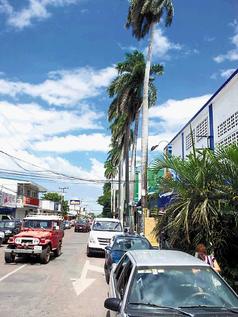 Centinela comunal. Las palmeras se ubican sobre la acera.