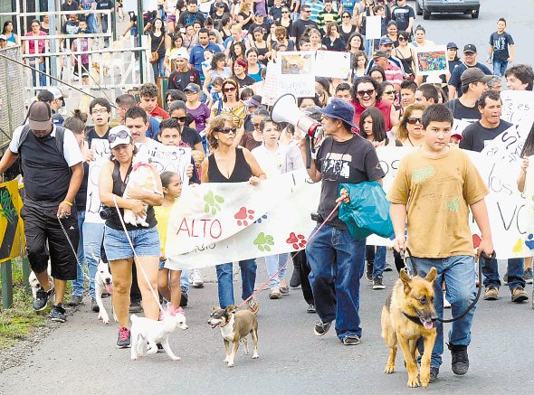  Paraíso se opuso al exterminio de animales. No hubo diferencias entre perros ayer. Rebeca Arias.